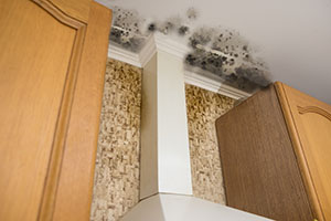 Mold damage on home's ceiling
